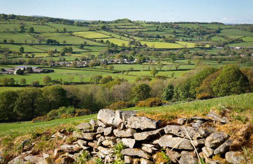 Coedmor Cottages - Foto 43