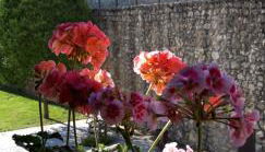 Pozolico Hotel Rural - Foto 2, Other