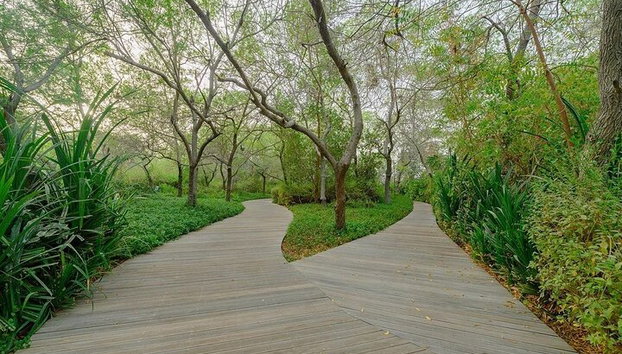 Boleto de entrada a la isla Sharjah Al Noor - Foto 5