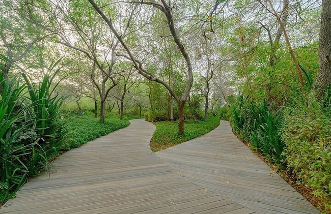 Bilhete de entrada para a Ilha Sharjah Al Noor - Foto 5