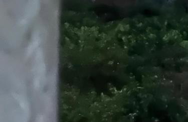 Lidas Golden View-All around veranda apartment - Photo 28