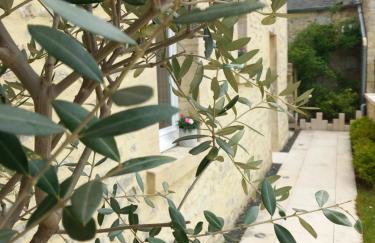 Maison de campagne la mer en horizon - Foto 30