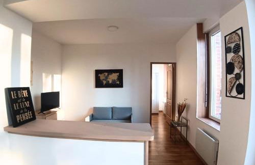 Appartement lumineux et pratique Séjour pro Lille - Foto 5