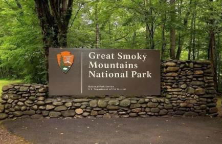 Secluded - Renovated Cabin - Enjoy Peace & Quiet - Foto 51