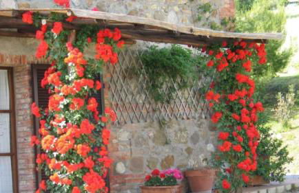 Podere La Montalla - Foto 32