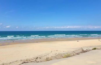 Palm Appart - Foto 10