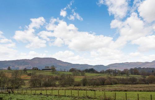 Fiadh Ruadh-Uk40008 - Foto 35