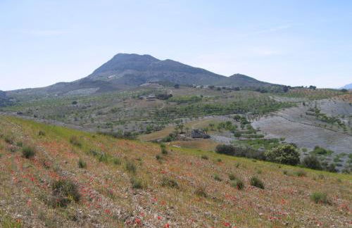 Cortijo La Estrella - Photo 35