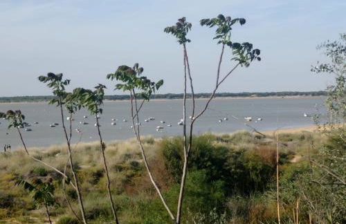 Apartamento Crucero 2, la Jara - Foto 27