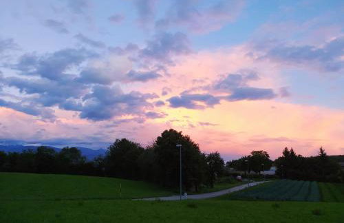 Paradise Apartments Paganella - Foto 18