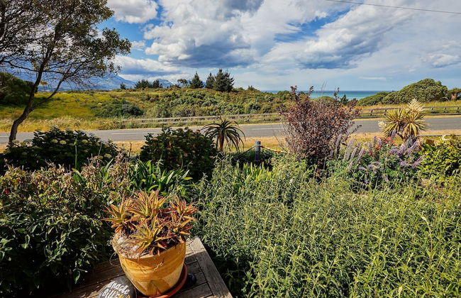 Barnacle Bills - Photo 47