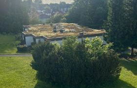 bergwärts - Foto 10