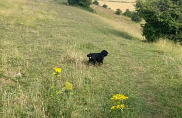 Riverside country cottage - Foto 34