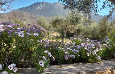 Jenny's Greek Villa - Foto 14