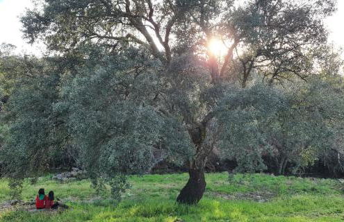 Quinta da Utopia - Foto 34