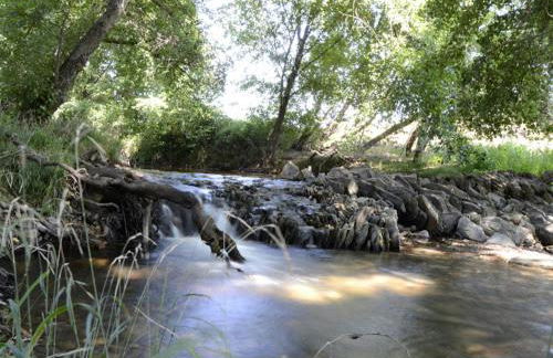 Alojamientos Rurales La Codosera - Foto 49