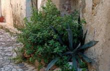 casetta Leonardo - Foto 19