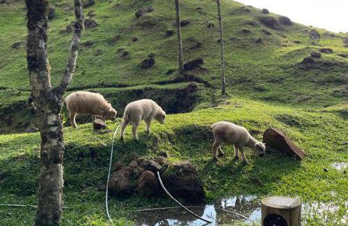 Cabana Efatah - Pousada Colina dos Ventos - Photo 26