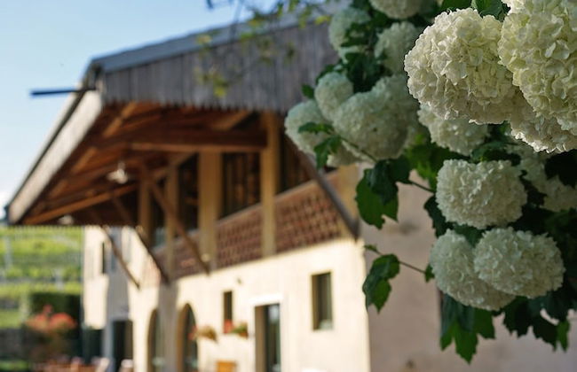 Domus Cariana - Photo 40