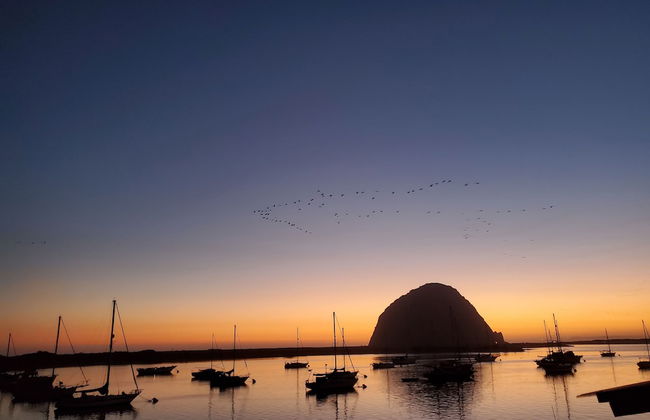 Gray's Inn & Gallery - Foto 43