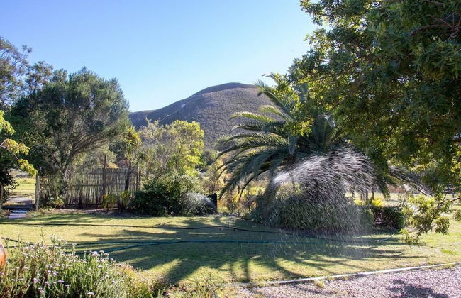 Groeneweide - Foto 61