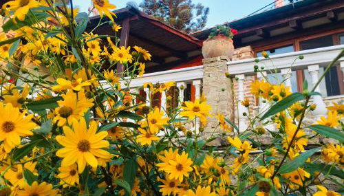 Ermones Emerald Villa - Foto 5, Garden