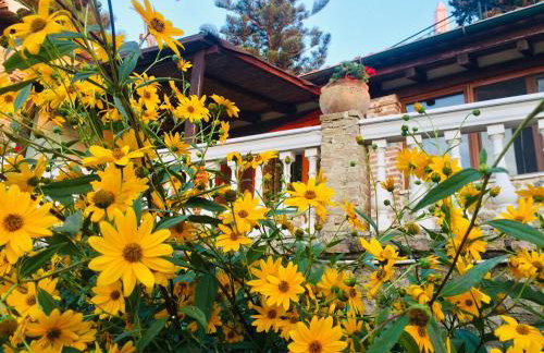 Ermones Emerald Villa - Foto 5