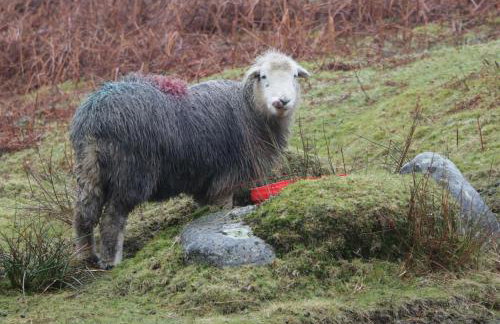 Beckside Farm - Foto 44