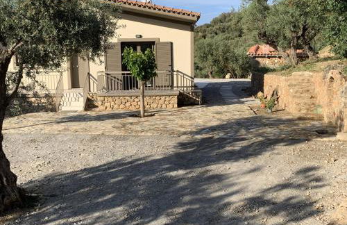 Olive Guest Farm - Foto 45