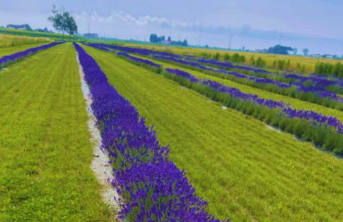 Casa Grazia - Foto 20