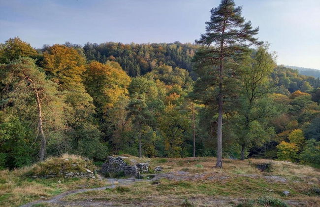 Cottage in Paliseul With Garden - Photo 25