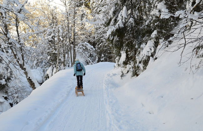 Tramberger Apartments - Foto 41