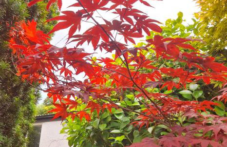 Stylish home from home with great views - Foto 51