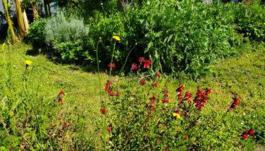 Artist's house for rent - Foto 2, Garden view