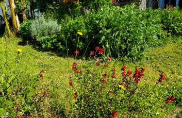 Artist's house for rent - Foto 2