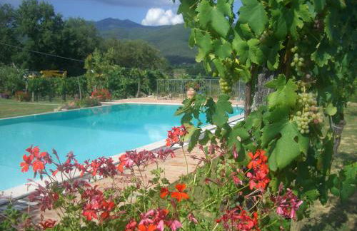 Podere Piandarca - Photo 44