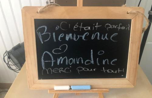 Studio de charme pour séjour tranquille à deux - Groupama Stadium - LDLC Aréna - Fiducial Astéria - Eurexpo - Aéroport St Exupéry - Base nautique du Grand Large - Foto 69