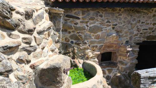 Xiravai-Ribeira Sacra - Foto 2, Garden