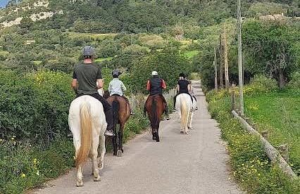 Horseback Riding in Randa, Mallorca - Foto 6