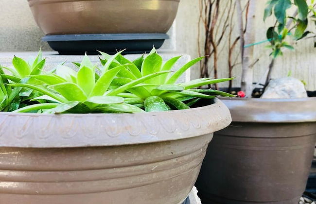 Azure House at Lagonissi - Foto 29