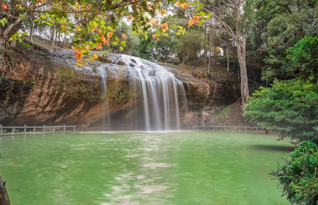 Tea Resort Prenn - Foto 49