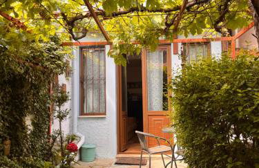 ΚΥΑΝΟΝ παραδοσιακή μονοκατοικία στην Φλώρινα - Foto 19