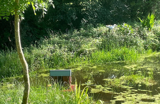 1 Bedroom Cabin Sleeps 2, Private Garden, Wifi - Foto 24