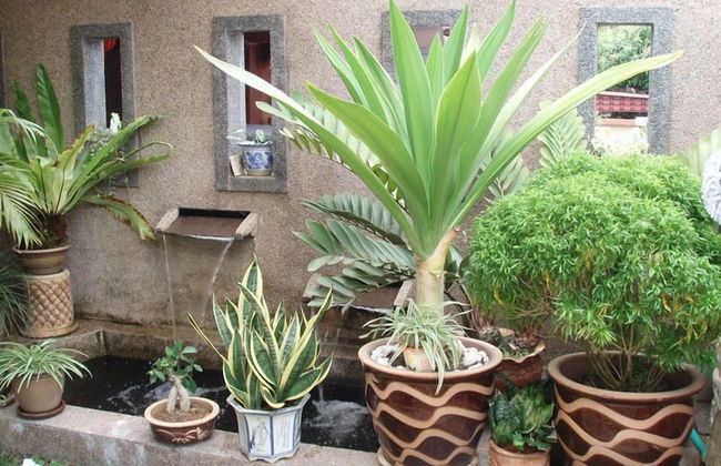 Garden Vacation Suite - Foto 12