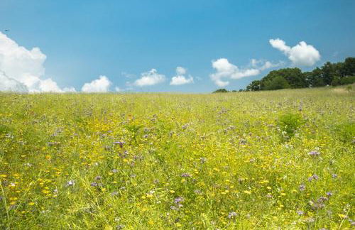 Borgo del Mastro è la vostra vacanza bucolica! - Foto 29