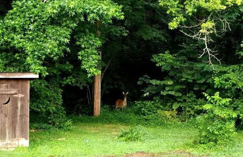 Tranquil Cabin with Hot Tub & Creek Views Near Bass Pro, Kodak Tennessee - Foto 22