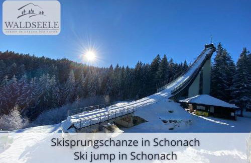 Exklusives 5-Sterne Apartment Waldseele mit Indoor-Pool, Sauna, top Lage und Ausblick in die Natur, Hunde willkommen - Foto 43