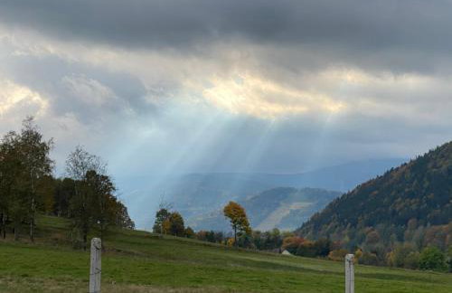 Domki Pod Lasem - Domek Sosnowy - Foto 44