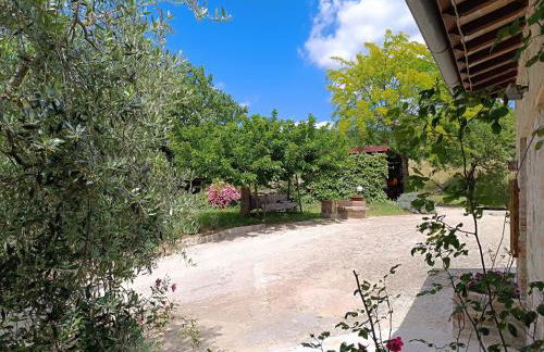 La Bottega di Torreluca - Foto 3