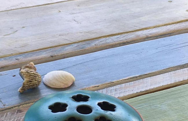 Casa Livingston - Luxury Villa - La Digue Seychelles - Foto 23